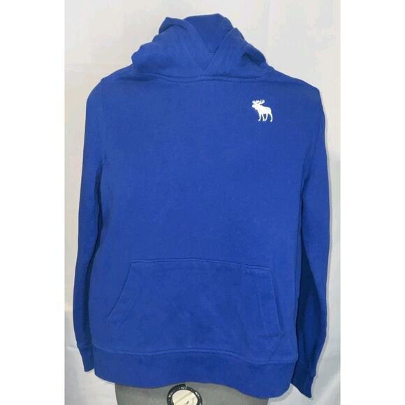Abercrombie & Fitch, Active Logo Kids/ Boys Pullover Hoodie Size 11/12 - Picture 1 of 6